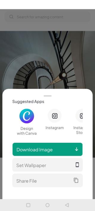 pexels免费素材网