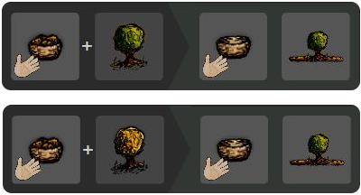 希望之村国际服