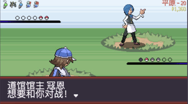 宝可梦肉鸽汉化版