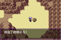 口袋妖怪漆黑的魅影5.0ex+bw