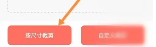 最美证件照制作app
