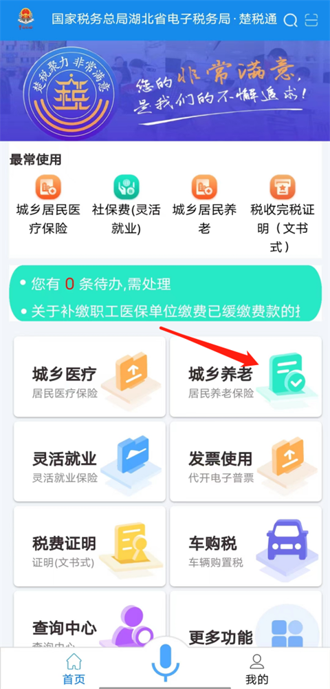 湖北税务网上税务局