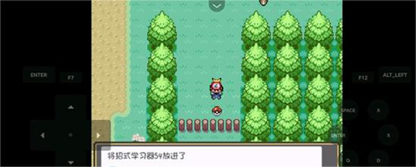 口袋妖怪燃之智