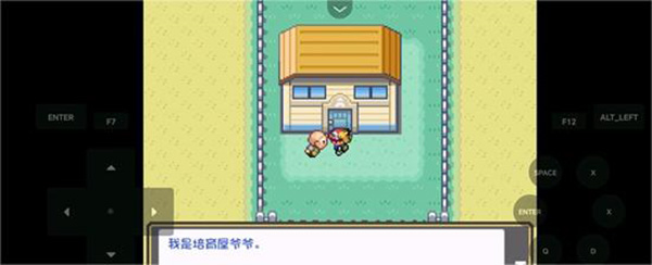 口袋妖怪燃之智