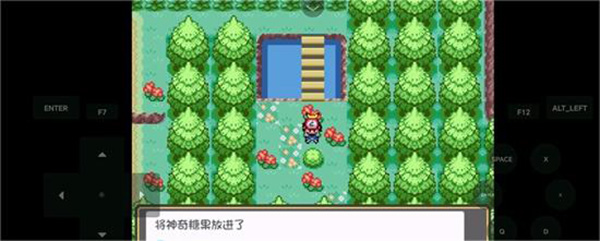 口袋妖怪燃之智