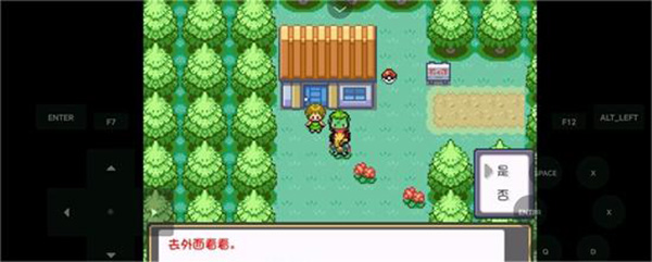 口袋妖怪燃之智