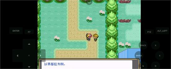 口袋妖怪燃之智