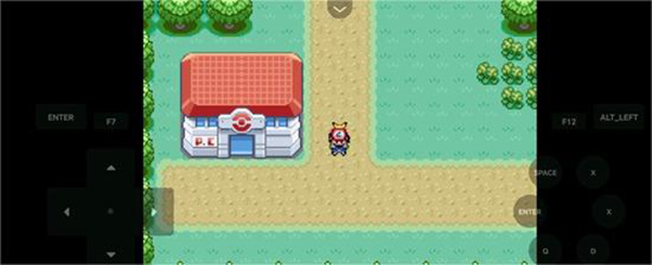 口袋妖怪燃之智