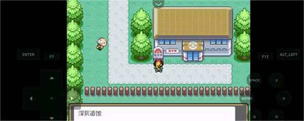 口袋妖怪燃之智