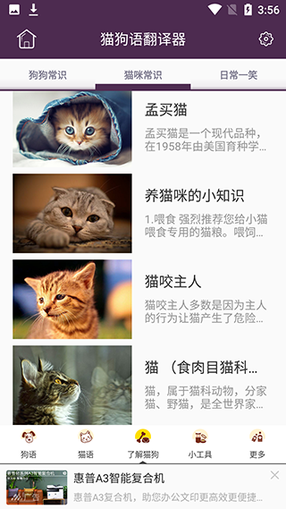 猫狗语翻译器