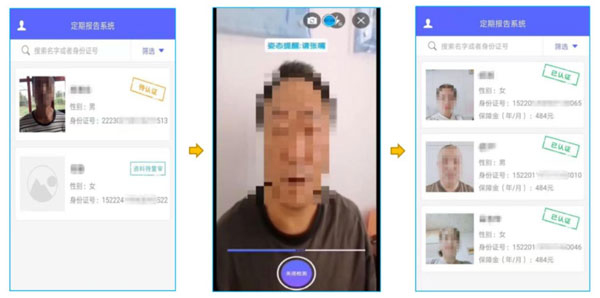 定期报告系统2023