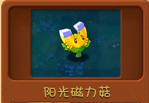 植物大战僵尸融合版本