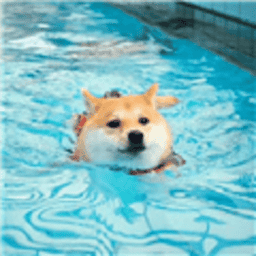 小杰安卓10框架