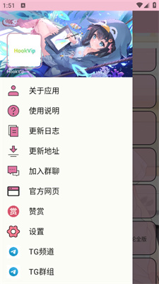 HookVip模块安装包