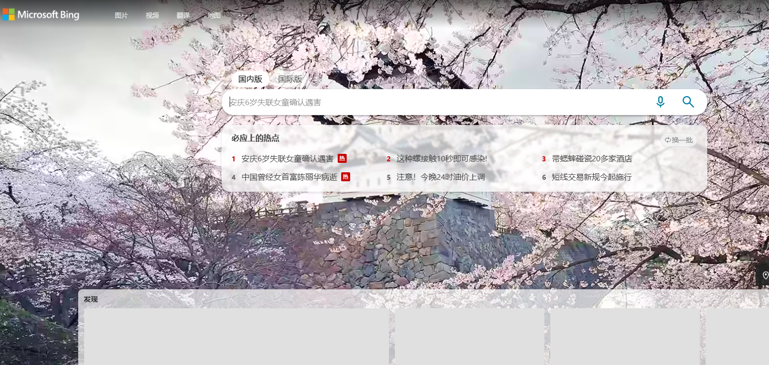 必应国际浏览器官网地址