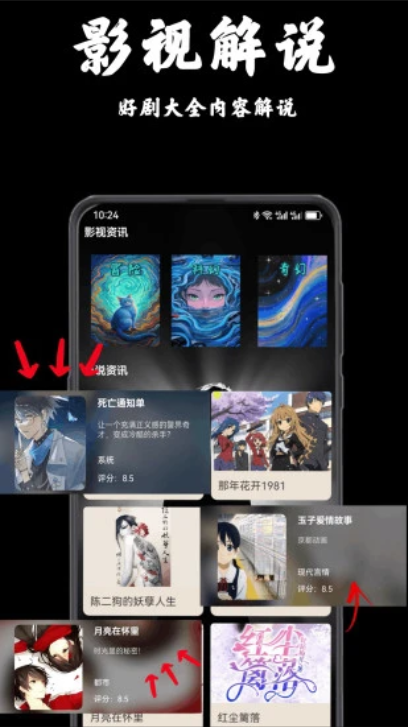 5c私密视频播放器