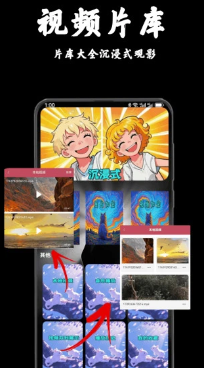 5c私密视频播放器