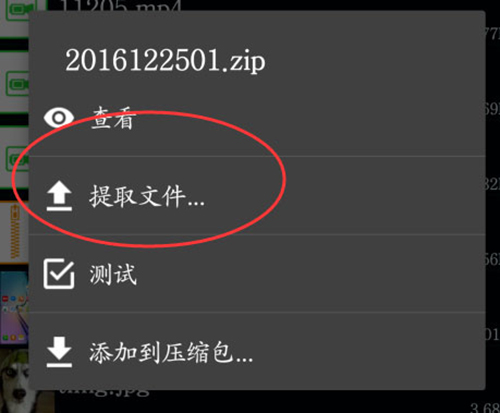 zarchiver橙色版本