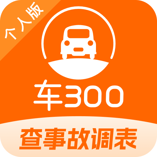 车300二手车