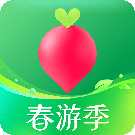 叮咚买菜app