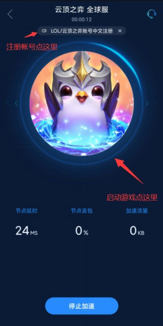 海豚加速器