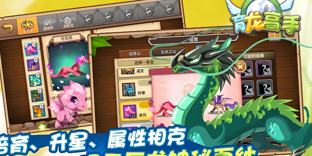 育龙高手
