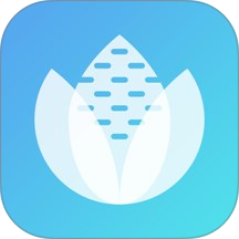 玉米宝
