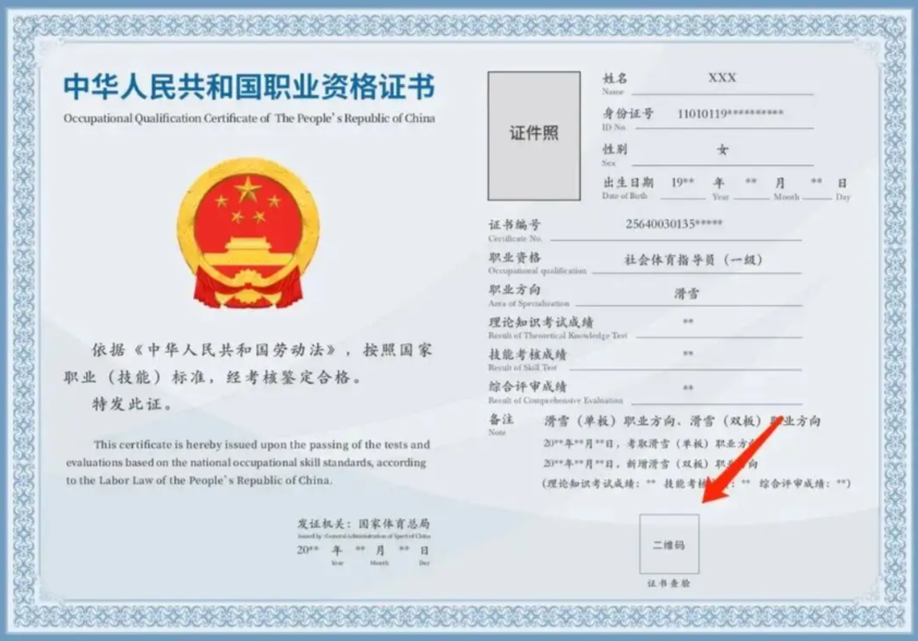 职业技能证书官网查询指南：避坑又省心！