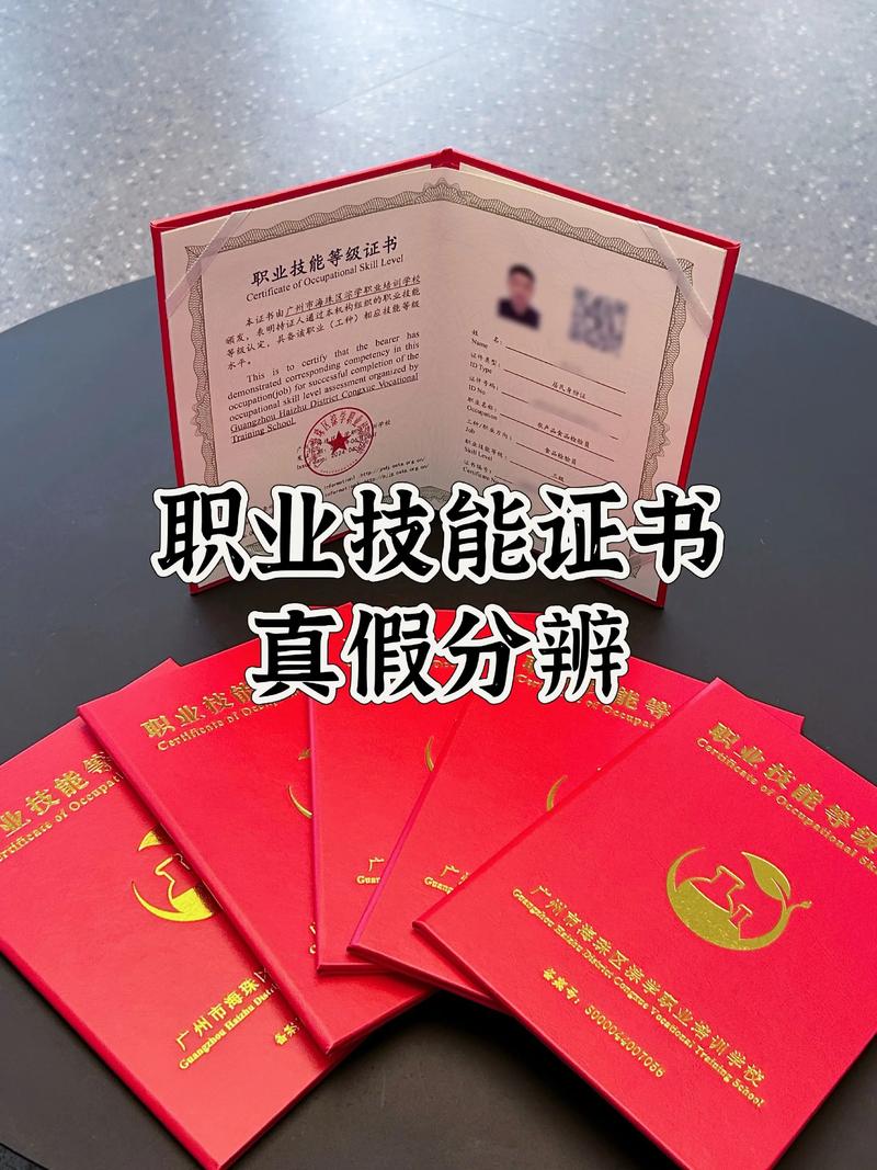 职业技能证书官网查询指南：避坑又省心！