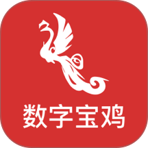 数字宝鸡