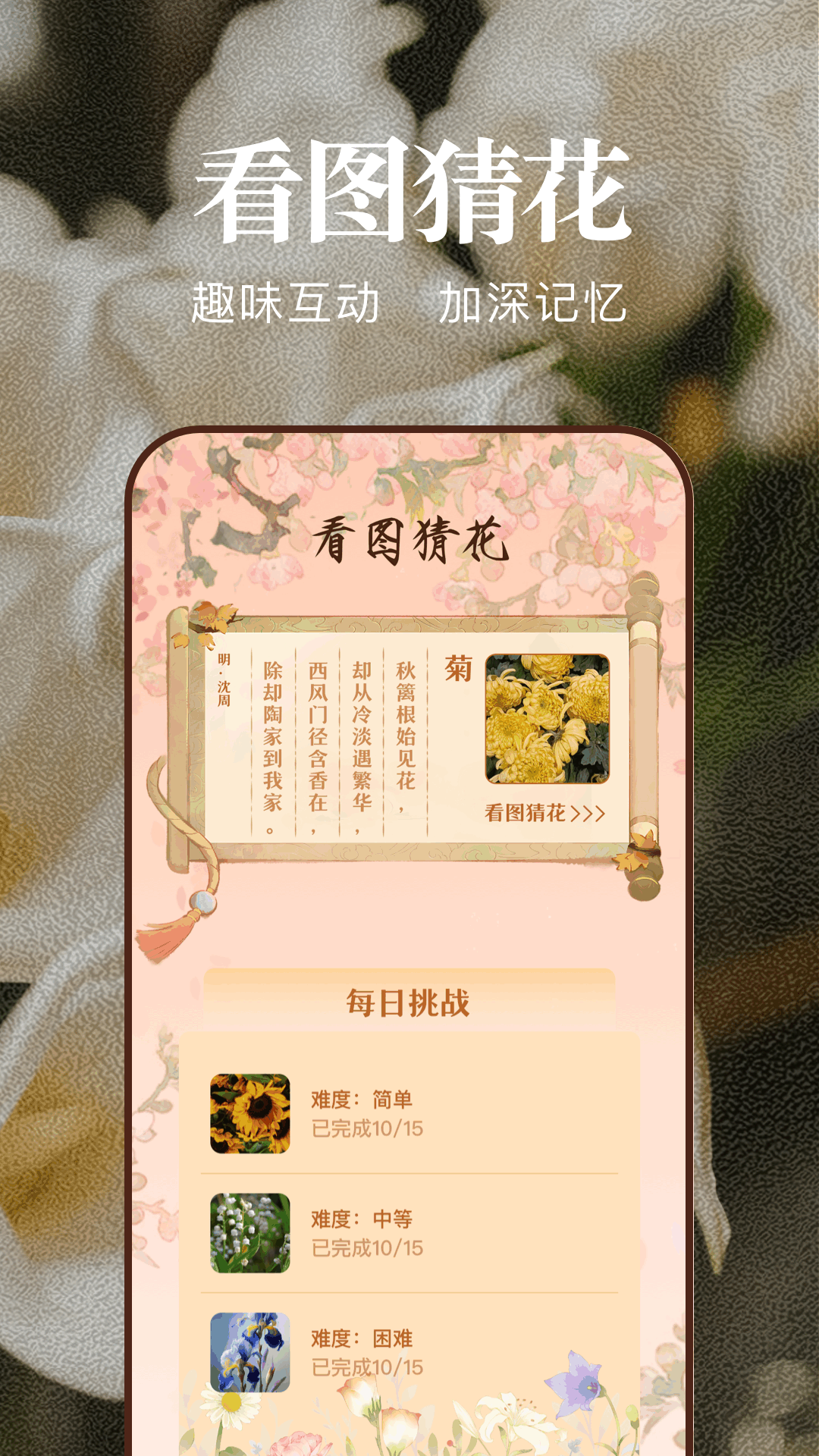 猫咪社区安装包