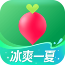 叮咚买菜app