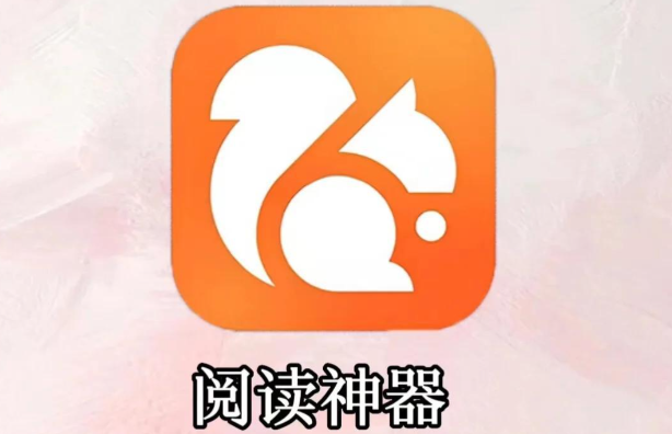 UC浏览器怎么把小说下载到手机本地？亲测好用的4个方法