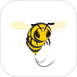 SpeedyBee调参软件