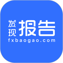 发现报告