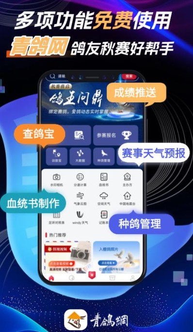 青鸽网