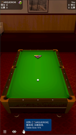 Pool Break Pro