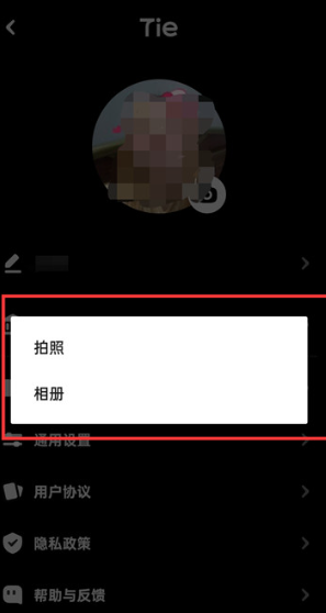 贴贴