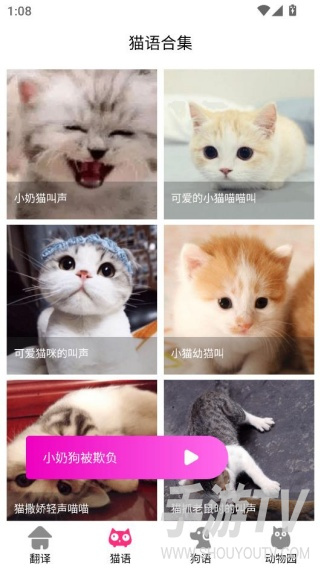 狗语翻译交流器