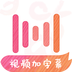 绘影字幕
