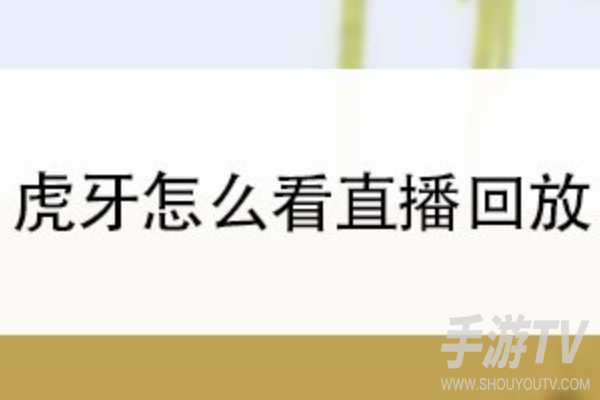 虎牙直播回放在哪里看？主播主页找回放入口