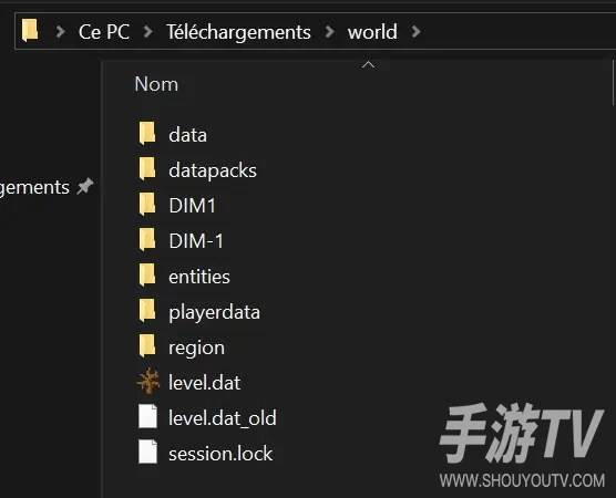 我的世界基岩版怎么导入地图