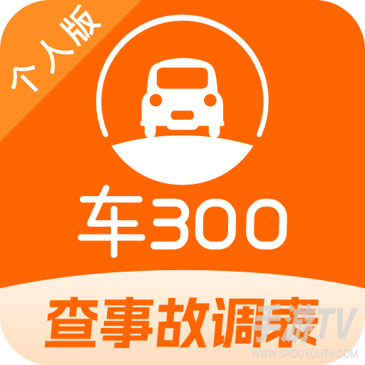 车300二手车