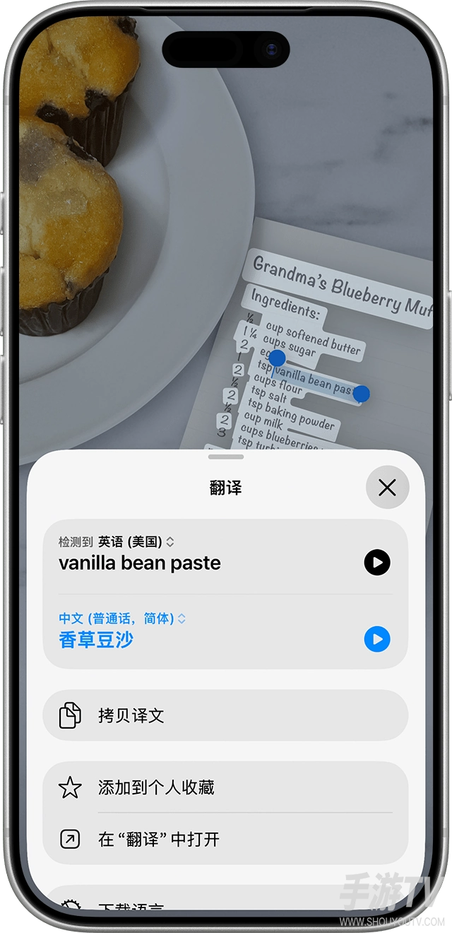 iPhone怎么翻译照片中的文字